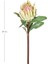 Protea Çiçeği Yeşil 60 Cm. 2