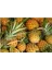 Tropikal Ananas Meyvesi Tohumu 5 Adet 3