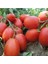 100 Adet Tohum Nadir Samarzana Domatesi Tohumu Yeni Hasat Hediyelidir 1