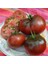 250 Adet Tohum Açık Tarla Niğde Alaca Köy Domatesi Tohumu Yayla Domatesi 1