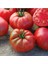 50 Adet Tohum Organik Köy Tarla Domates Tohumu Yeni Mahsul Tarla Tipi Köy Domatesi Tohum Saksılık 1