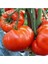 10 Adet Köy Tipi Tarla Yerli Domates Tohumu 3