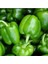 50 Adet Tohum Nadir İnce Kabuk Dolmalık Dolma Biber Tohumu Hobi Bahçe Balkon Saksılık Bahçeliktir 1