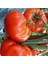 40 Adet Tohum Köy Domatesi Tohumu Yerli Tabak Köy Domates Tohumu Saksı Toprakla 1