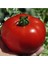 50 Adet Tohum Nadir Bulunan Kırmızı Falcon Yerli İri Domates Tohumu Hediye Tohum 1