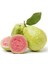 10 Adet Tohum Nadir Guava Meyve Ağaç Tohumu Tropikal İthal Meyve Tohumu Hediye Tohumu 2