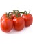 Cherry Domates Tohumu Saksılık Cherry Doates Tohumu 10 Adet Tohum 4