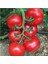 Erkenci Salkım Domates 15 Domates Tohumu + Saksı Toprak 2