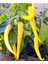 Golden Acı Cayenne Biber Tohumu Golden Biber Tohumu 20 Adet Tohum 3