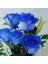 10 Adet Tohum Nadir Bulunan Mavi Gül Tohumu Mavi Bahçe Gülü Saksı Toprak Hediyemiz 2