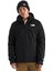 M Mountain Light Triclimate Gtx Jacket Erkek Outdoor Montu (550 Dolgu Kaz Tüyü) NF0A84FCGOE1 Siyah 8