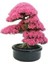35 Adet Tohum Bodur Bonsai Pembe Erguvan Ağacı Bonzai Tohumu Organik Bahçe Saksı Toprak Hediyemizdir 1