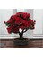 Bonsai Kırmızı Gül Ağacı Tohumu 5 Adet Tohum + Hediye Tohum 3