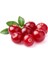 Cranberry Tohumu Turna Yemişi Tohumu 5 Adet Tohum 3