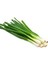 50 Adet Tohum Taze Firik Acısız Yeşil Soğan Tohumu Sürpriz Hediye Tohum 2