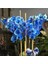 Mavi Orkide Tohumu 15 Adet 1