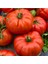 20 Adet Tohum Organik Oturak Kırmızı Oturak Ankara Ayaş Köy Domatesi Domates Tohumu Hediye Tohum 2