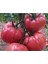 Pembe Domates Tohumu Nadir Geleneksel İri Pembe Domates Tohumu 15 Adet Tohum 3