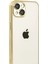 Yzlal Newface Apple Iphone 15 Razer Lensli Silikon - Gold 2