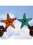 Lekeli Akrilik Pencere Asılı Deniz Yıldızı Dekoru, Pencere, Duvar Dekoru, Deniz Kabukları ve Deniz Yıldızı Süslemeleri Için Deniz Yıldızı Güneş Tutucusu (Yurt Dışından) 2