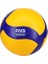 V200W Resmi Fıvb Iç Mekan Voleybolu 5