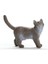 British Shorthair Kedi, Oyuncak Figür 4
