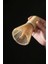 Matcha Çayı Karıştırıcı Fırça ve Kaşık Bamboo Whisk Köpürtücü CIN552 3
