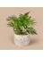 Areka Saksılı Yapay Çiçek - Gri / Yeşil - 35 cm 1