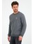 Erkek 3 İplik Pamuklu Regular Fit Nakışlı Bisiklet Yaka Basic Sweatshirt 2