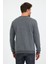 Erkek 3 İplik Pamuklu Regular Fit Nakışlı Bisiklet Yaka Basic Sweatshirt 8