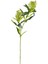Yapay Çiçek Bitki Yeşil 70 Cm. 1
