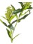Yapay Çiçek Bitki Yeşil 70 Cm. 2