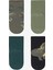 Çok Renkli Erkek Çocuk Green Dino 4lü Soket Çorap 14