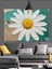 Tek Beyaz Papatya Yakın Plan Dekoratif Kanvas - Mdf Ahşap Tablo 1