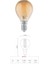 LED Filament Ampul 4 Watt E14 Duy Sarı Işık Dekoratif Vintage Aydınlatma (1, G45 Amber Cam) 2