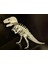 3D Baskı T-Rex Dinozor Iskelet Maketi– 3D Baskı Plastik Figür 3