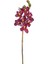 Yapay Orkide Gerçek Dokulu Bordo 75 Cm. 3