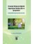 Finansal Olmayan Bilginin Raporlama Standartları ve Çerçeveleri 1