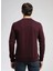 Yuvarlak Yaka Mürdüm Erkek Sweatshırt 261 Lcm 241040 Frose Mürdüm 4