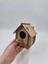 Ahşap Kuş Yuvası Evi Boyanabilir (Etkkinlik Için) 15 cm x 12 cm x 10 cm 5