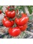 10 Adet Ankara Ayaş Domatesi Tohumu 1