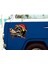 Kaptan Kurt Sticker - Araba Oto Motosiklet Karavan Sticker 00297 2