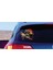Kaptan Kurt Sticker - Araba Oto Motosiklet Karavan Sticker 00297 4