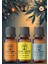 Enerji Seti 3*10ML Esansiyel Uçucu Koku Yağı Aromaterapi Yağı Buhurdanlık Yağı Difüzör Esansı Ortam Oda Kokusu 1
