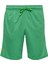 Spor Fitness Koşu Şortu - Hector - Yeşil 5