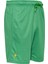 Spor Fitness Koşu Şortu - Hector - Yeşil 6