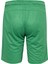 Spor Fitness Koşu Şortu - Hector - Yeşil 7