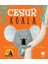 Cesur Koala 1