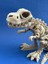 Hareketli T-Rex Dinozor Iskeleti Büyük Boy 2