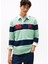 Çizgili Yeşil Erkek Polo T-Shirt DM0DM22074MAS Tjm Rlx Strıpe Rugby 2